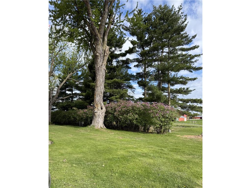 W6373 570th Avenue Ellsworth WI 54011 7072199 image14