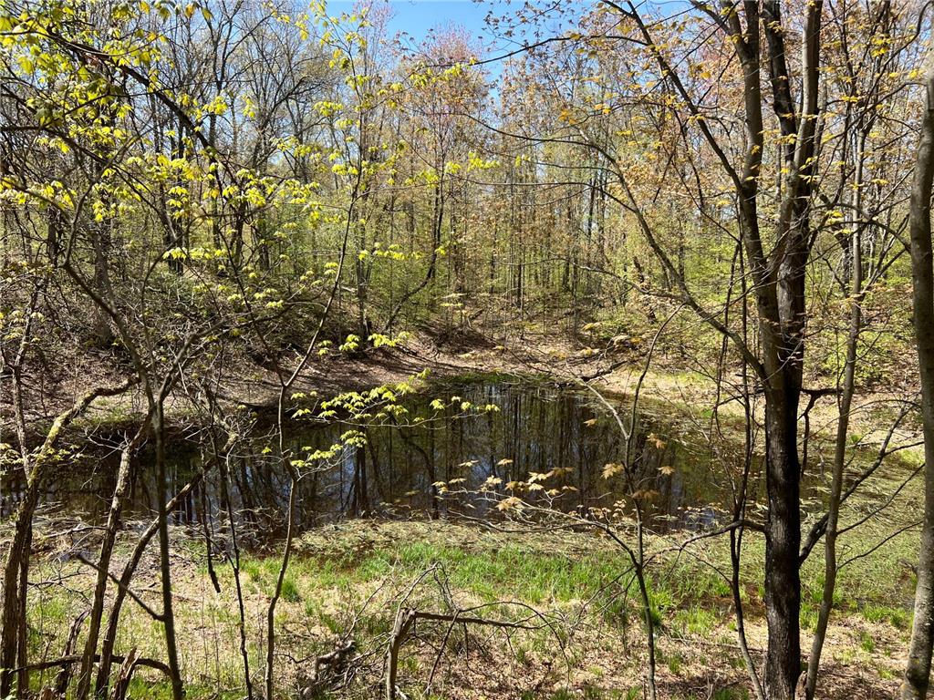 W6474 River Road Trego WI 54888 7075806 image10