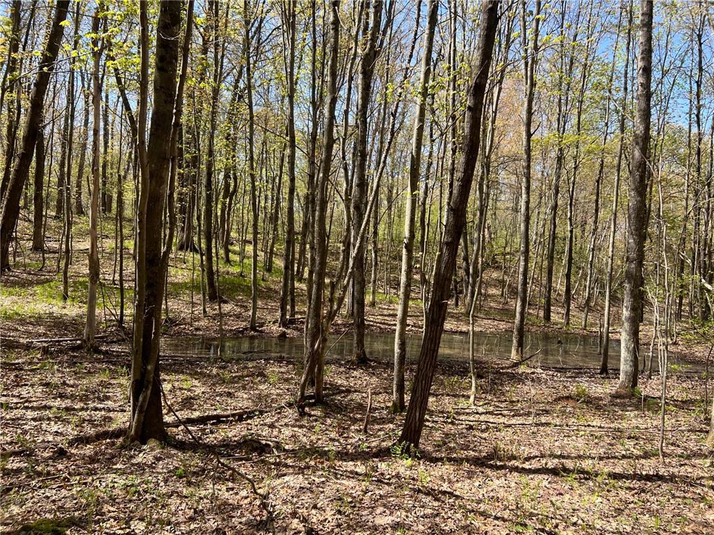 W6474 River Road Trego WI 54888 7075806 image11