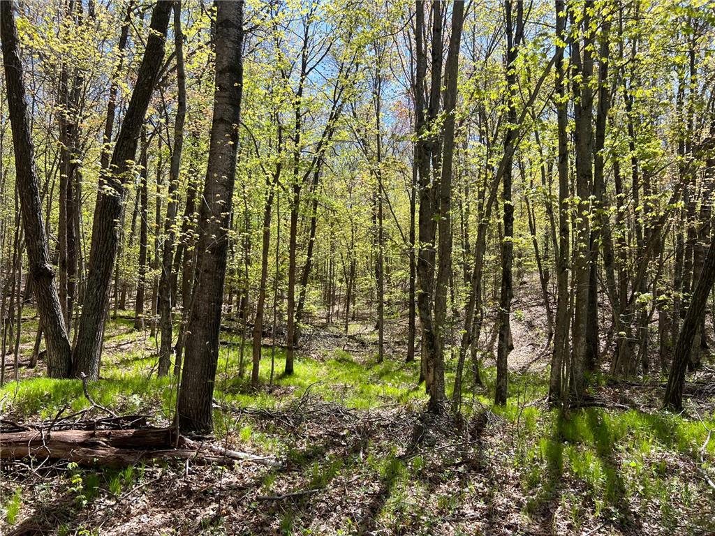 W6474 River Road Trego WI 54888 7075806 image14