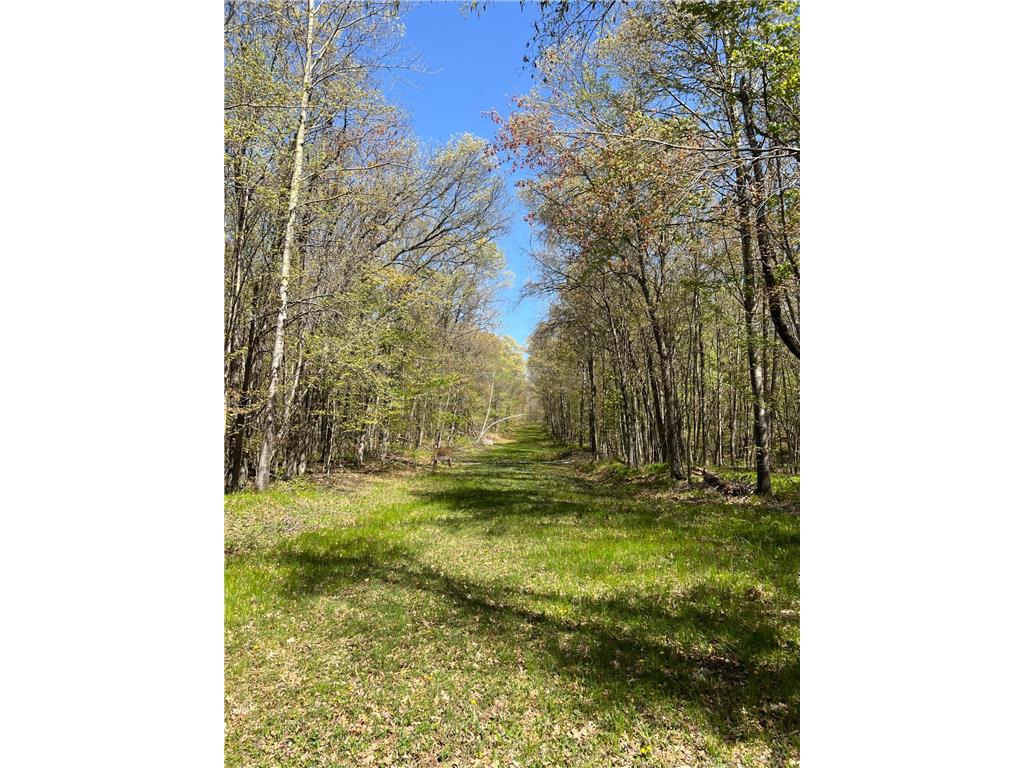 W6474 River Road Trego WI 54888 7075806 image15