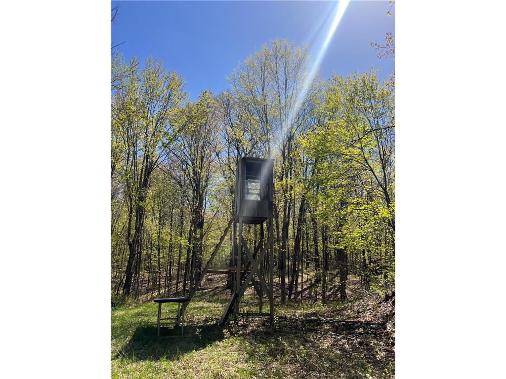 W6474 River Road Trego WI 54888 7075806 image17