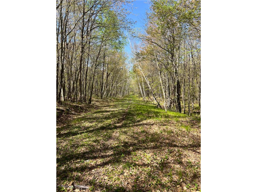 W6474 River Road Trego WI 54888 7075806 image18