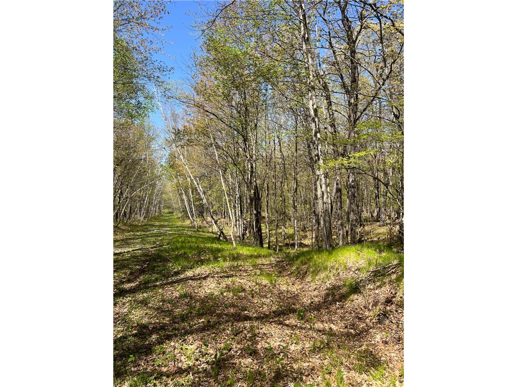 W6474 River Road Trego WI 54888 7075806 image19