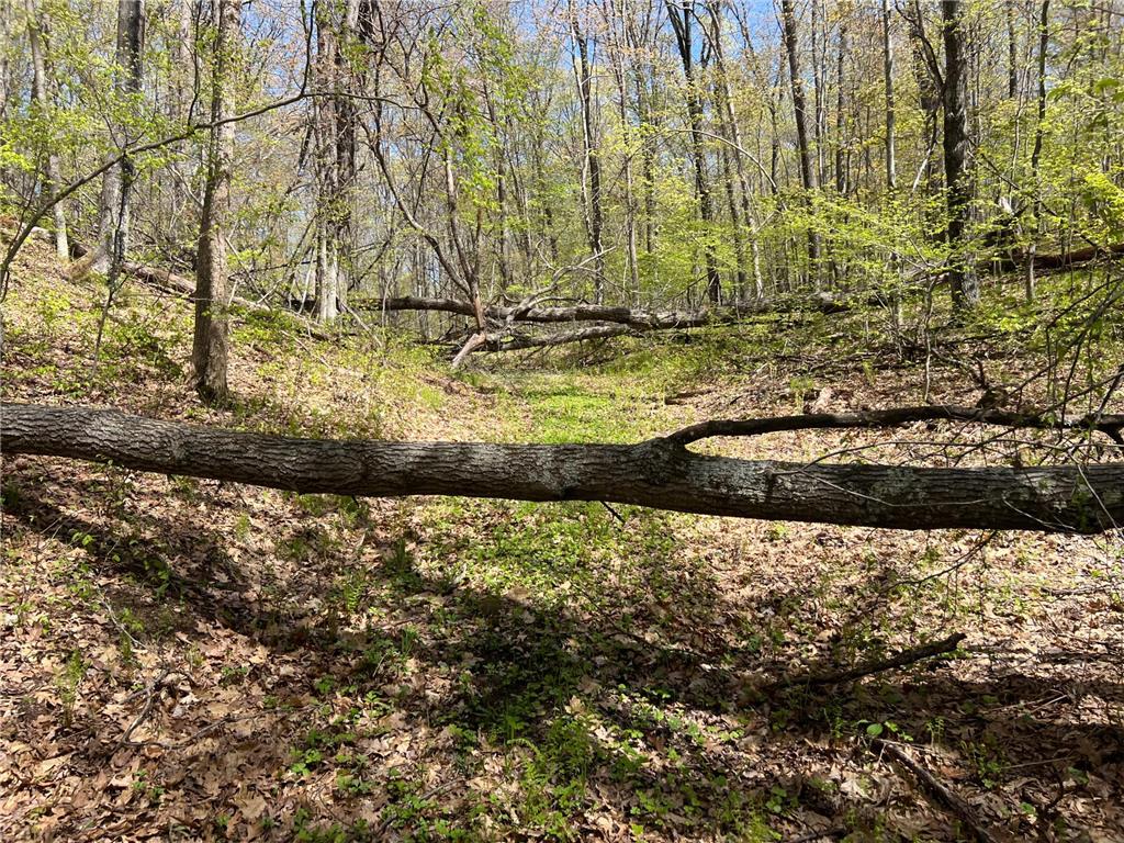 W6474 River Road Trego WI 54888 7075806 image9