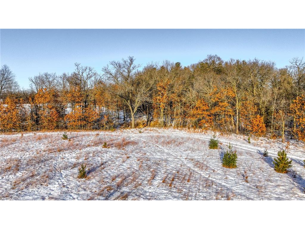 W7194 Nelson Road Mondovi WI 54755 7001633 image18