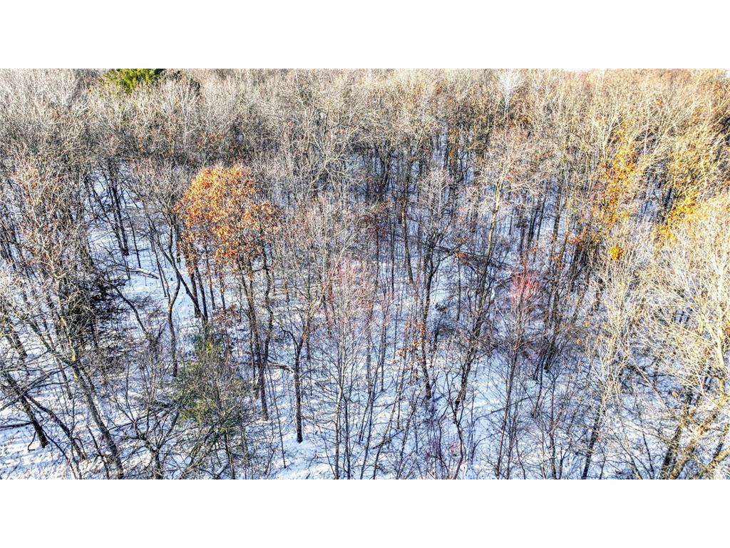 W7194 Nelson Road Mondovi WI 54755 7001633 image19