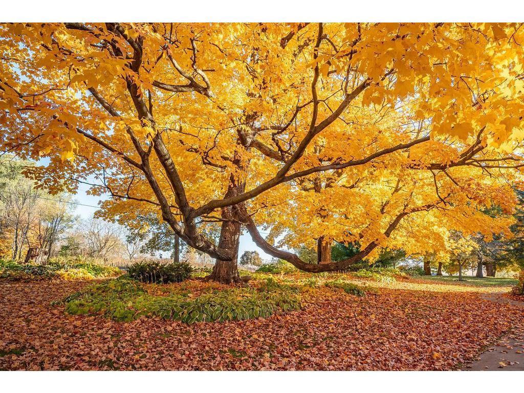 W7429 510th Avenue Ellsworth WI 54011 6810139 image41