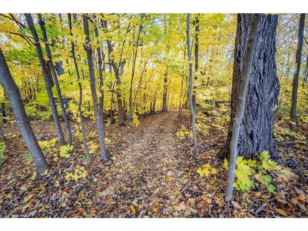 W7429 510th Avenue Ellsworth WI 54011 6810139 image49