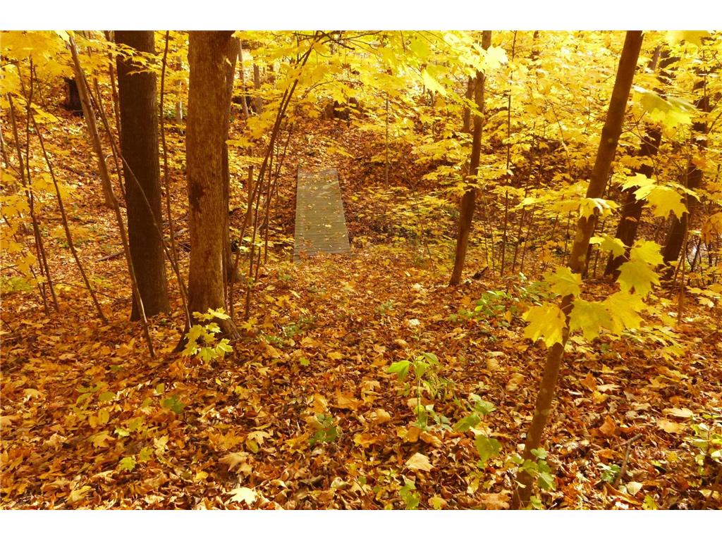 W7429 510th Avenue Ellsworth WI 54011 6810139 image50