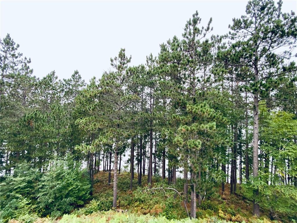 W7602 Wallin Drive Minong WI 54859 - Minong Flowage 7069573 image18