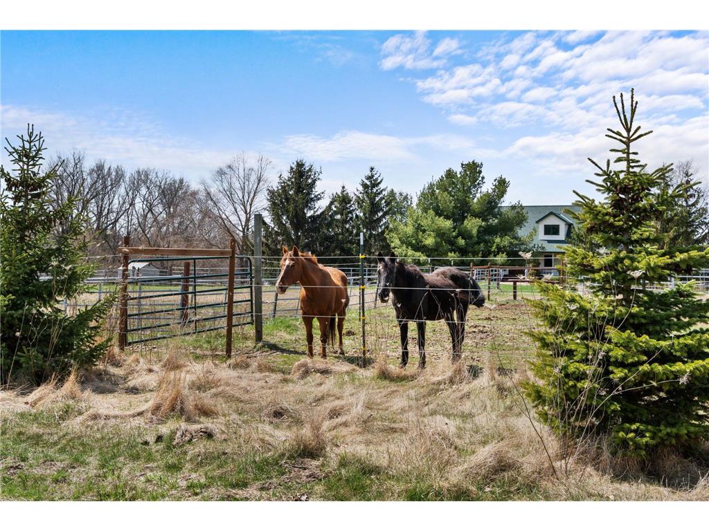 W8135 830th Avenue River Falls WI 54022 6770663 image48