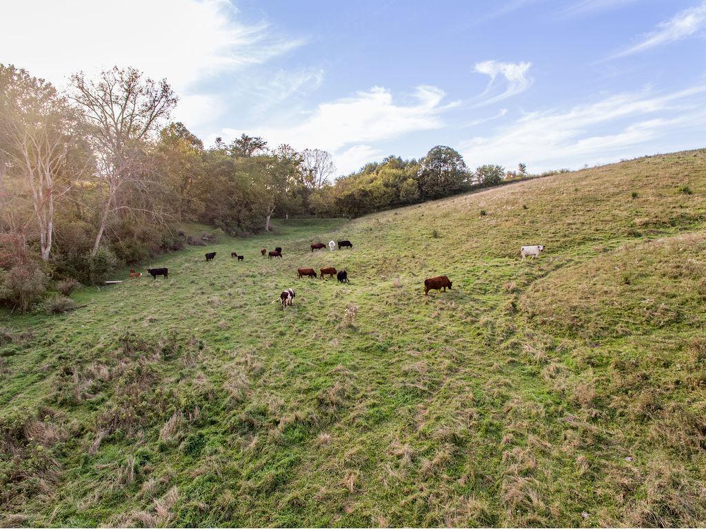 W8236 County Road Kk Ellsworth WI 54011 7018800 image35