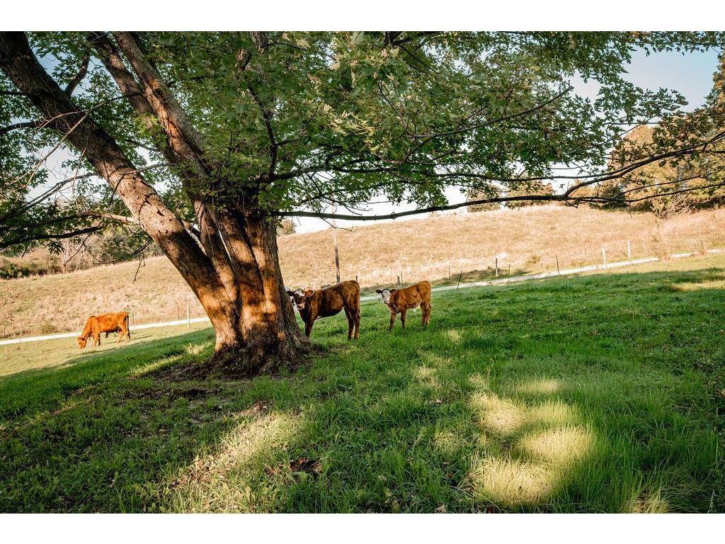 W8236 County Road Kk Ellsworth WI 54011 7018800 image7