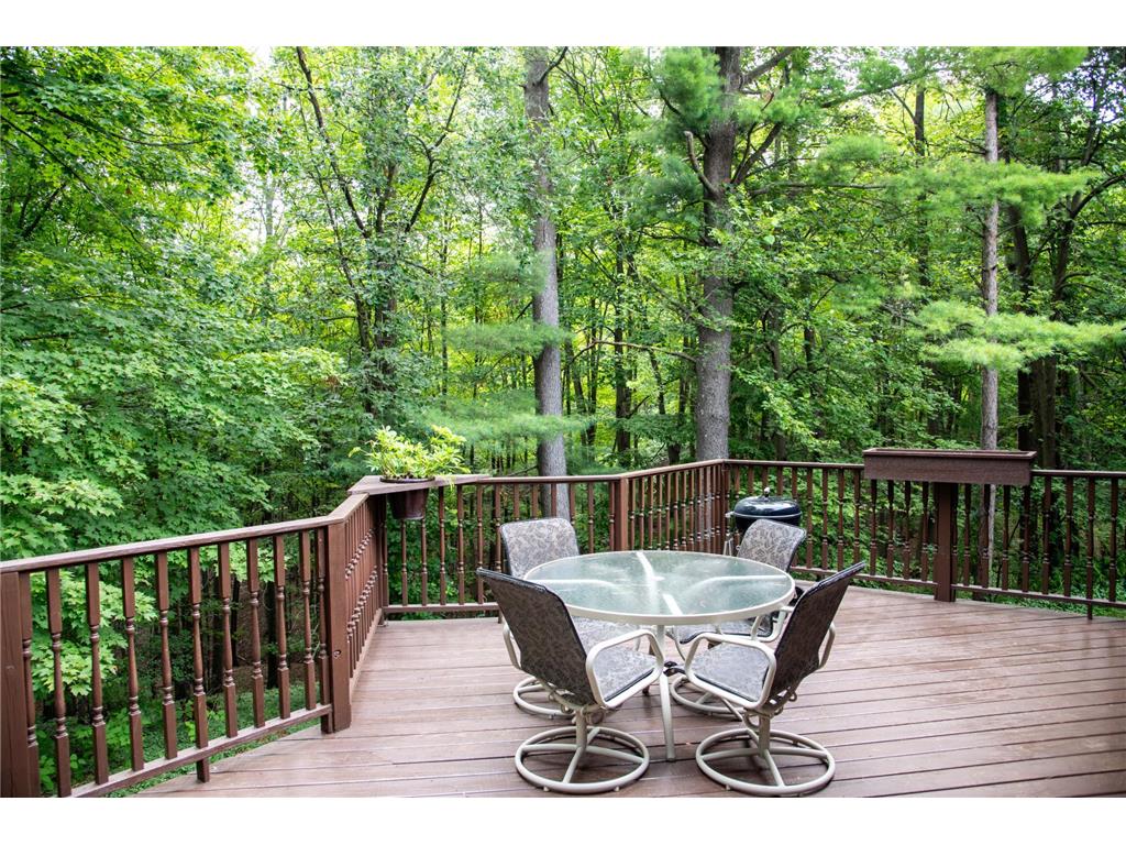 W828 Evergreen Court Spring Valley WI 54767 6689264 image40