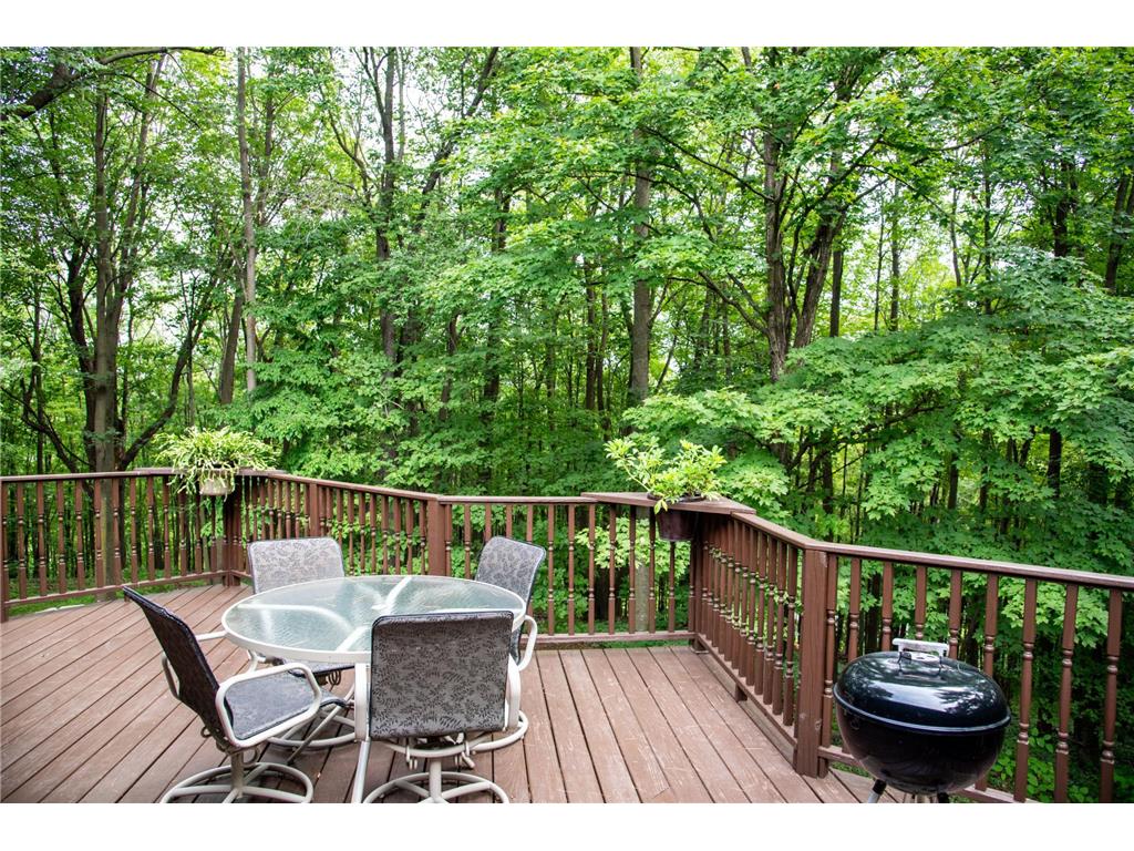 W828 Evergreen Court Spring Valley WI 54767 6689264 image41