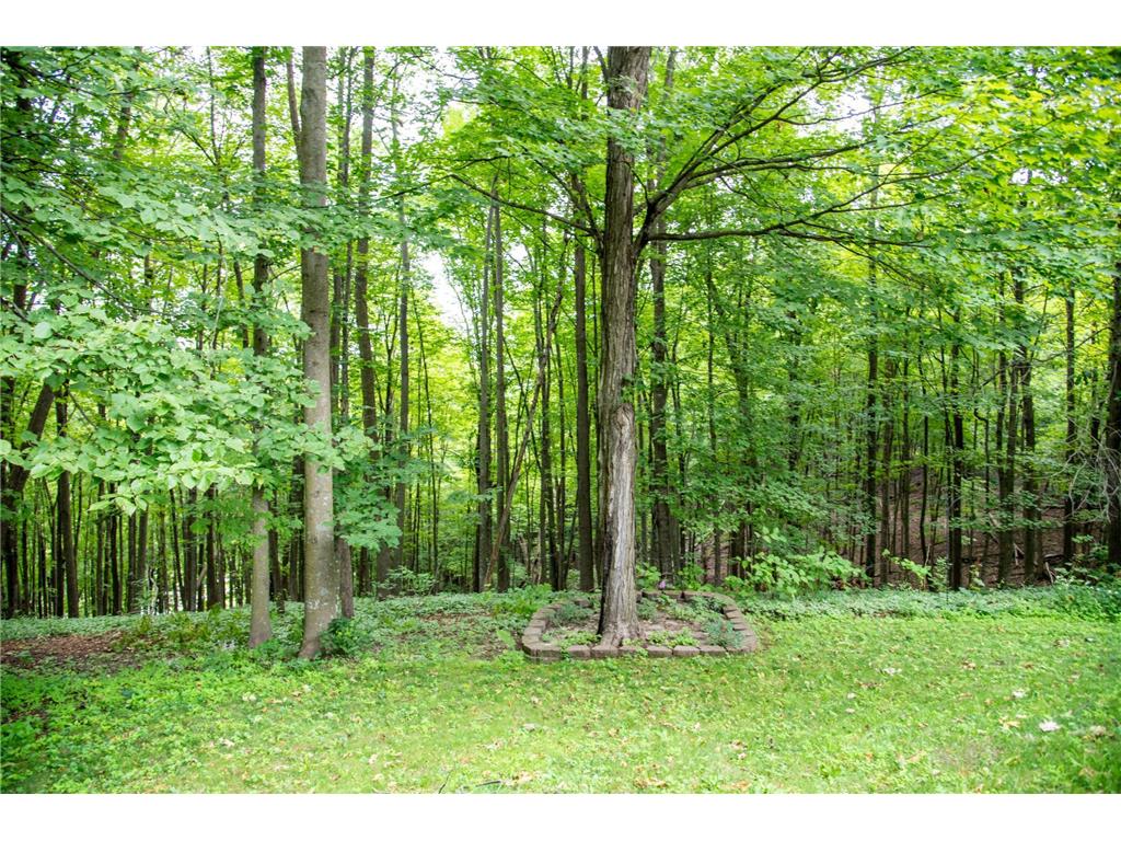 W828 Evergreen Court Spring Valley WI 54767 6689264 image42