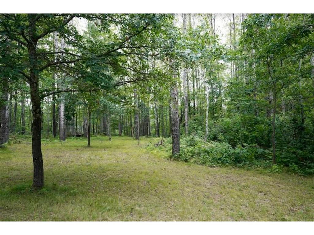 W8432 Webb Creek Drive Trego WI 54888 7071354 image28