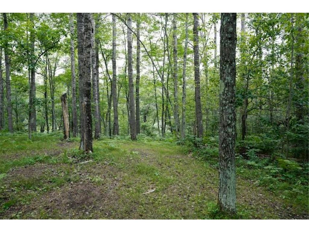 W8432 Webb Creek Drive Trego WI 54888 7071354 image29