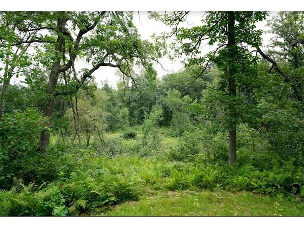 W8432 Webb Creek Drive Trego WI 54888 7071354 image30