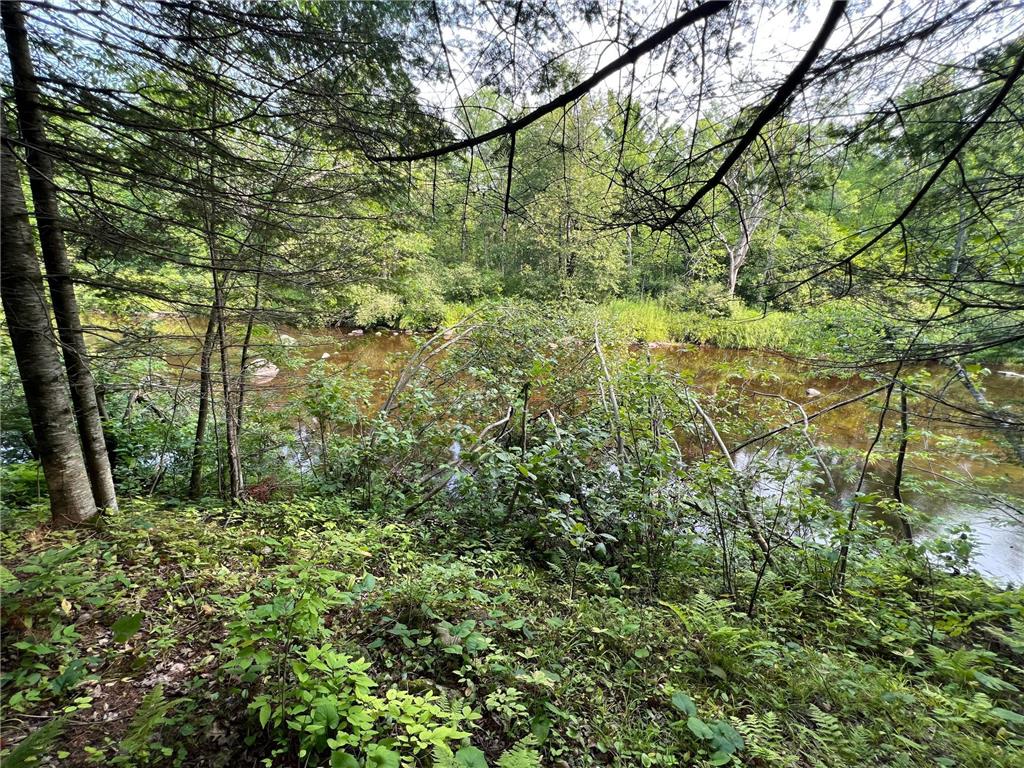 W8804 Timber Trail Flambeau Twp WI 54848 - Thornapple River 7046607 image1