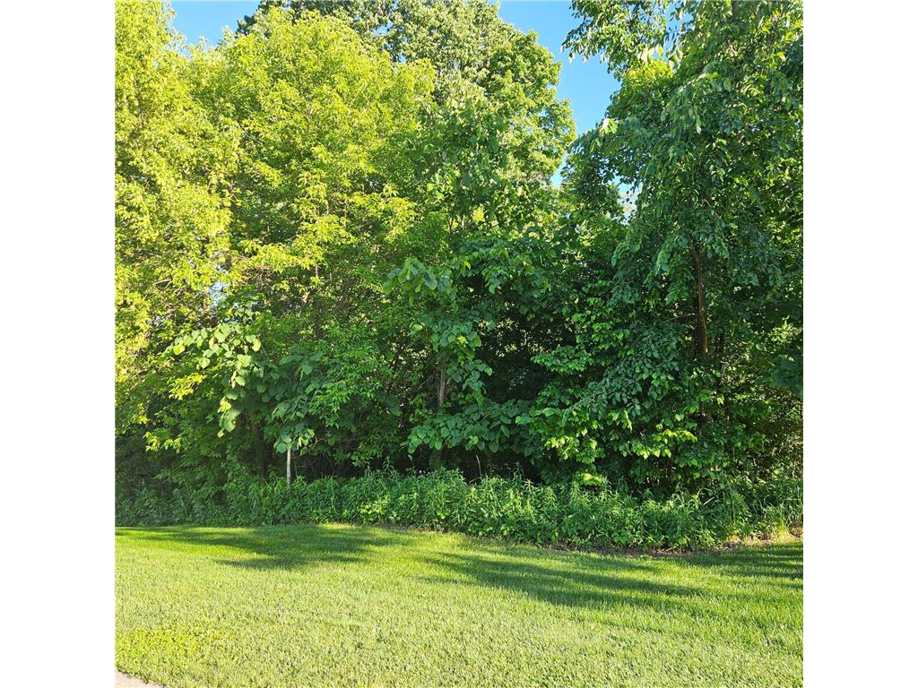 W901 Silver Fox Drive Spring Valley WI 54767 6556345 image1