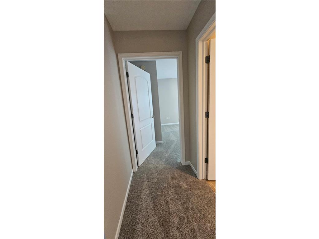 W920 Cardinal Drive Spring Valley WI 54767 7087869 image8