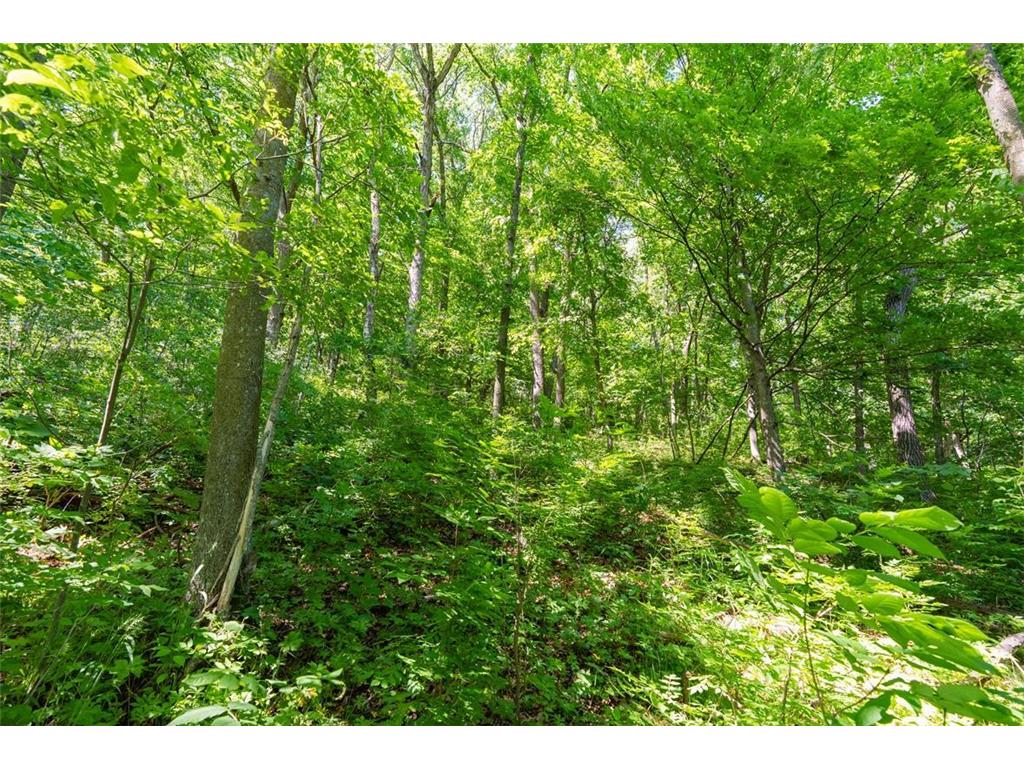 W9204 Big Coulee Road Waterville Twp WI 54721 7093191 image18