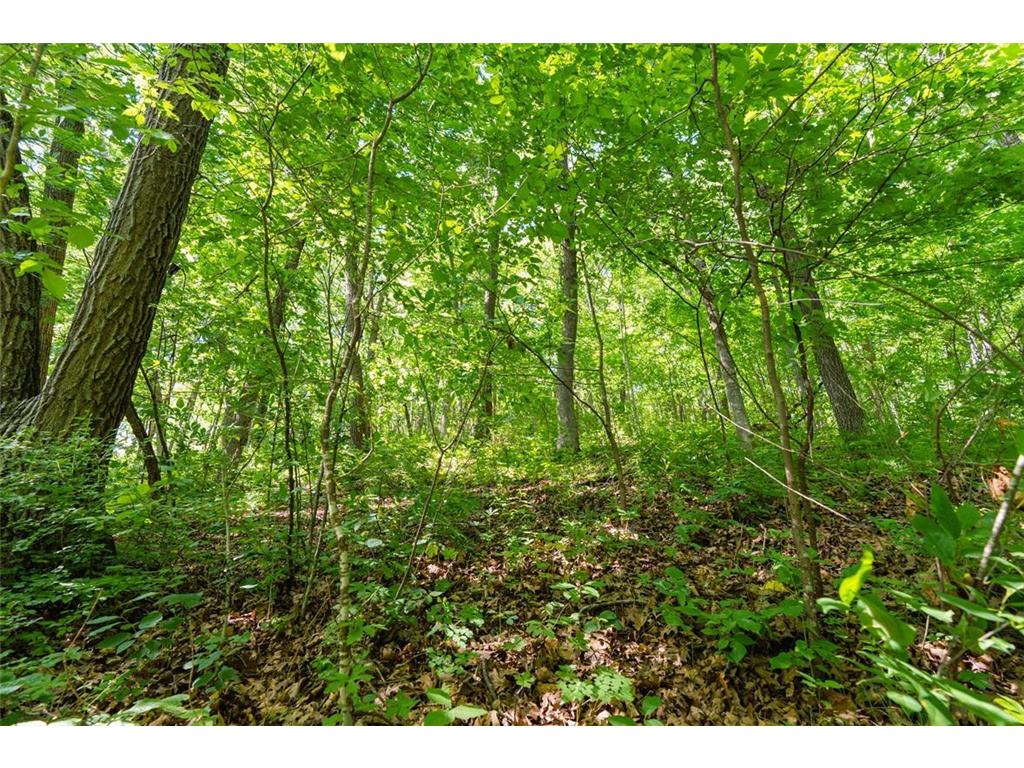 W9204 Big Coulee Road Waterville Twp WI 54721 7093191 image20