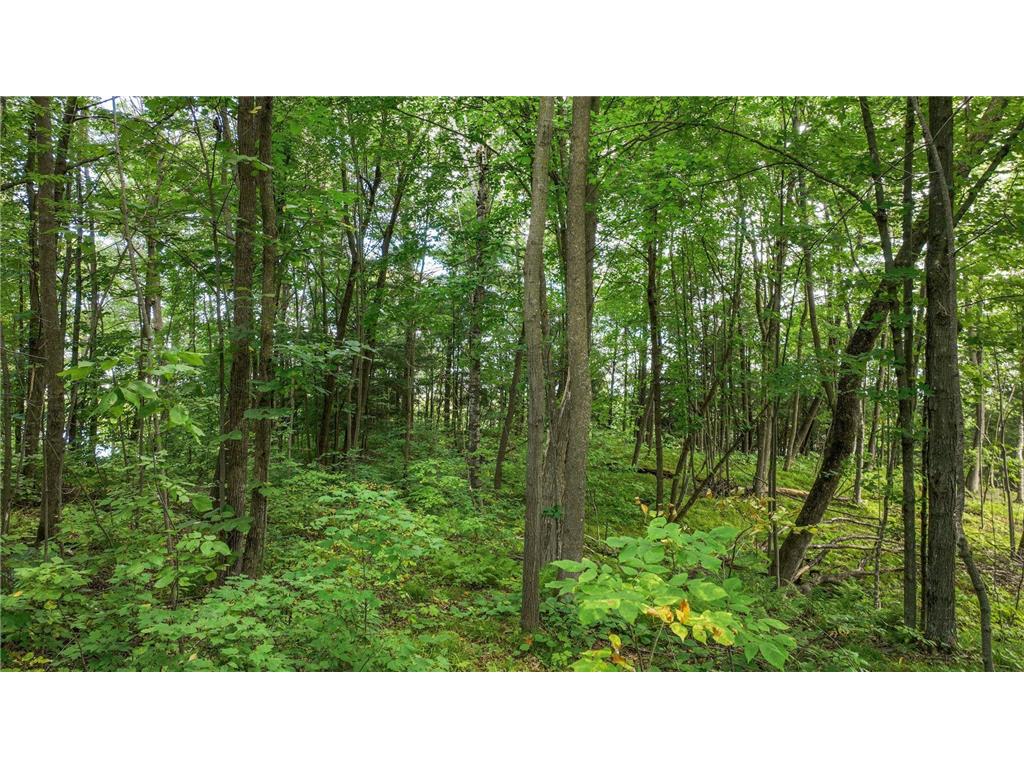 W9346 Woodlawn Drive Willard Twp WI 54745 - Holcombe Flowage 6779267 image10