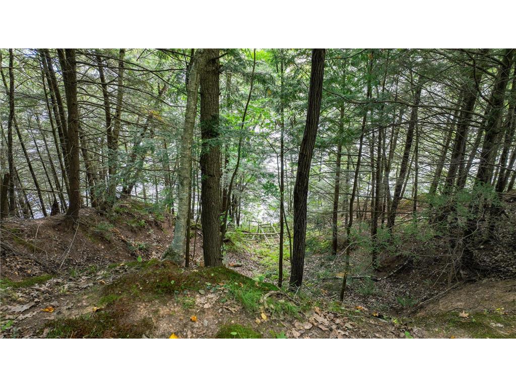 W9346 Woodlawn Drive Willard Twp WI 54745 - Holcombe Flowage 6779267 image11