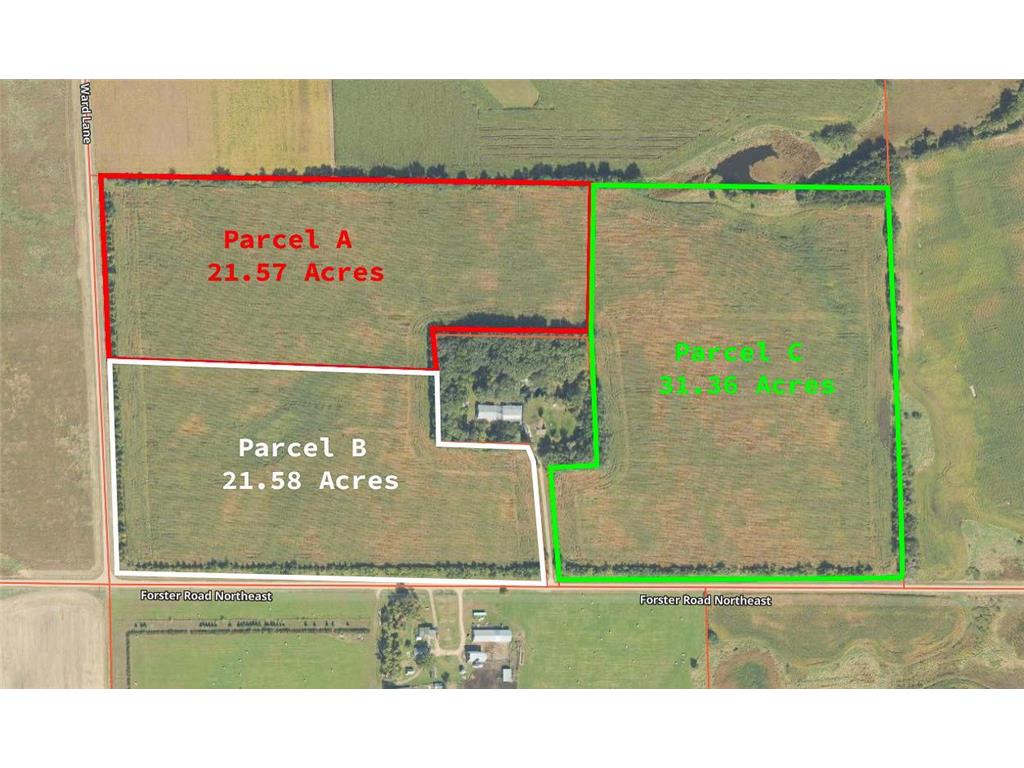 Ward Lane Forster Road NE Belle River Twp MN 56319 7084372 image1