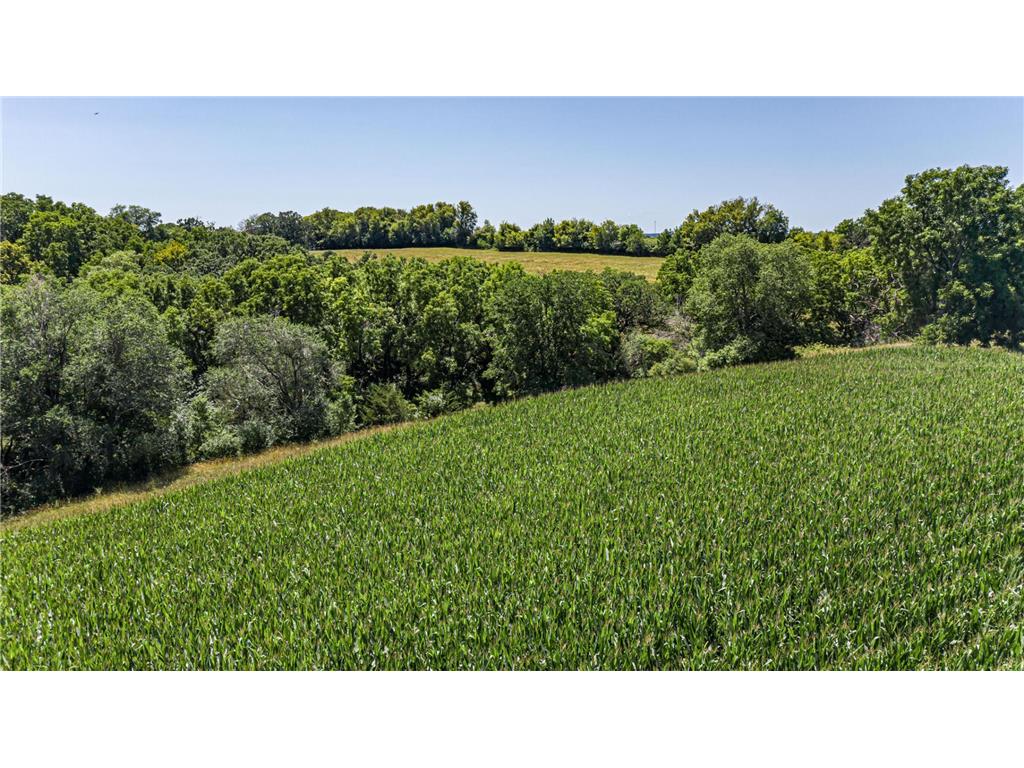 X Country Club Road W Rochester Twp MN 55902 6810905 image5