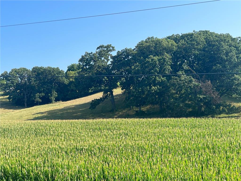 X Country Club Road W Rochester Twp MN 55902 6810905 image6