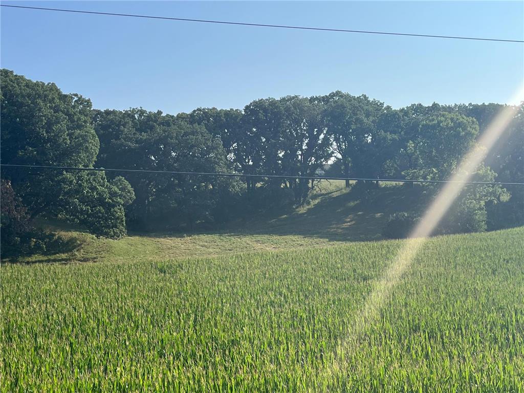 X Country Club Road W Rochester Twp MN 55902 6810905 image7