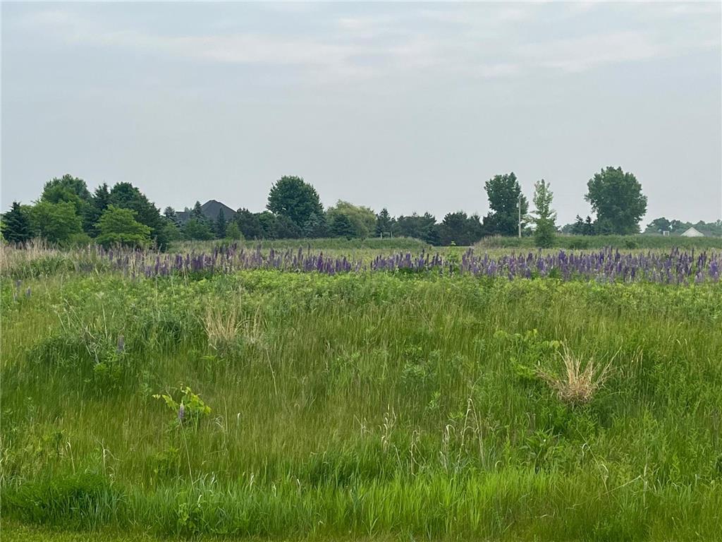 4014 Mayo Woodlands Road SW Rochester MN 55902 6342314 image3