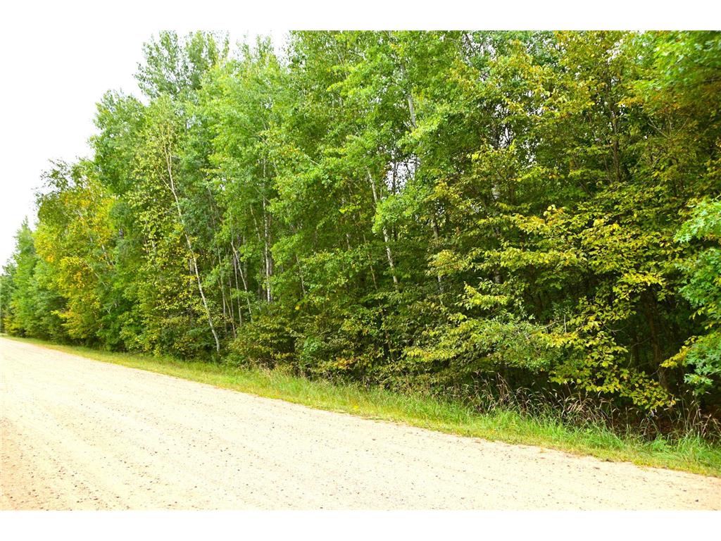 X Orchard Drive, Moran Twp, MN, 56438 MLS 6501912 Edina Realty