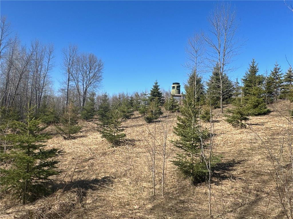 X Tamarac Road South Harbor Twp MN 56359 6363839 image1