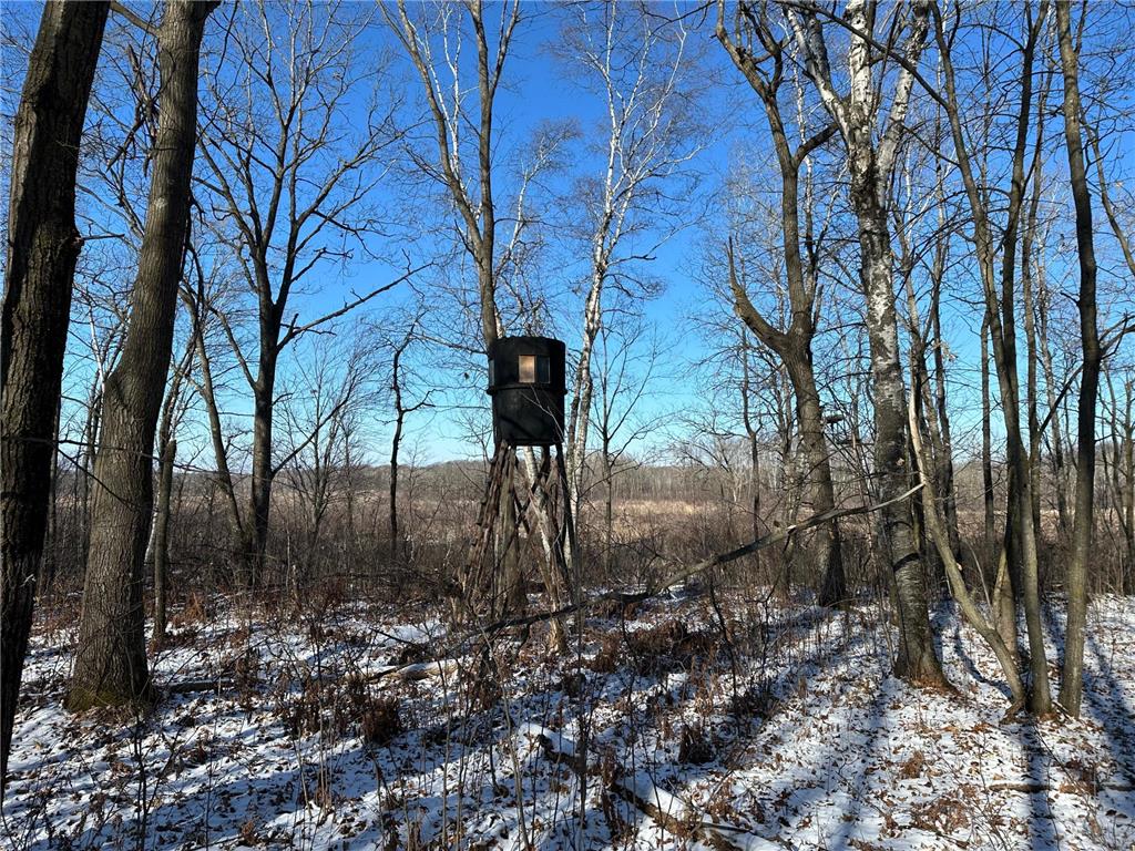 XX 153rd Street Mt. Morris Twp MN 56338 6487804 image1
