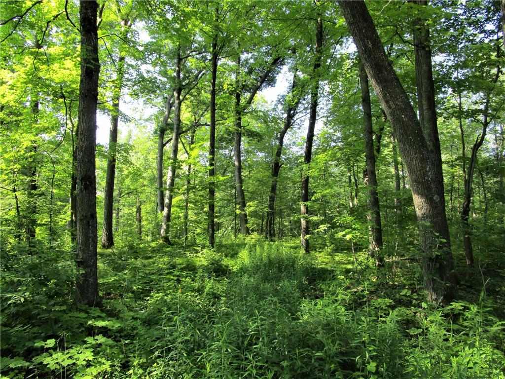 XX 220th Avenue Milltown WI 54858 6567407 image1