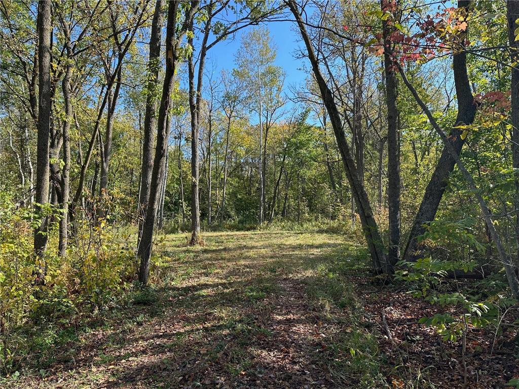 XX 305th Avenue Pulaski Twp MN 56364 6610774 image1