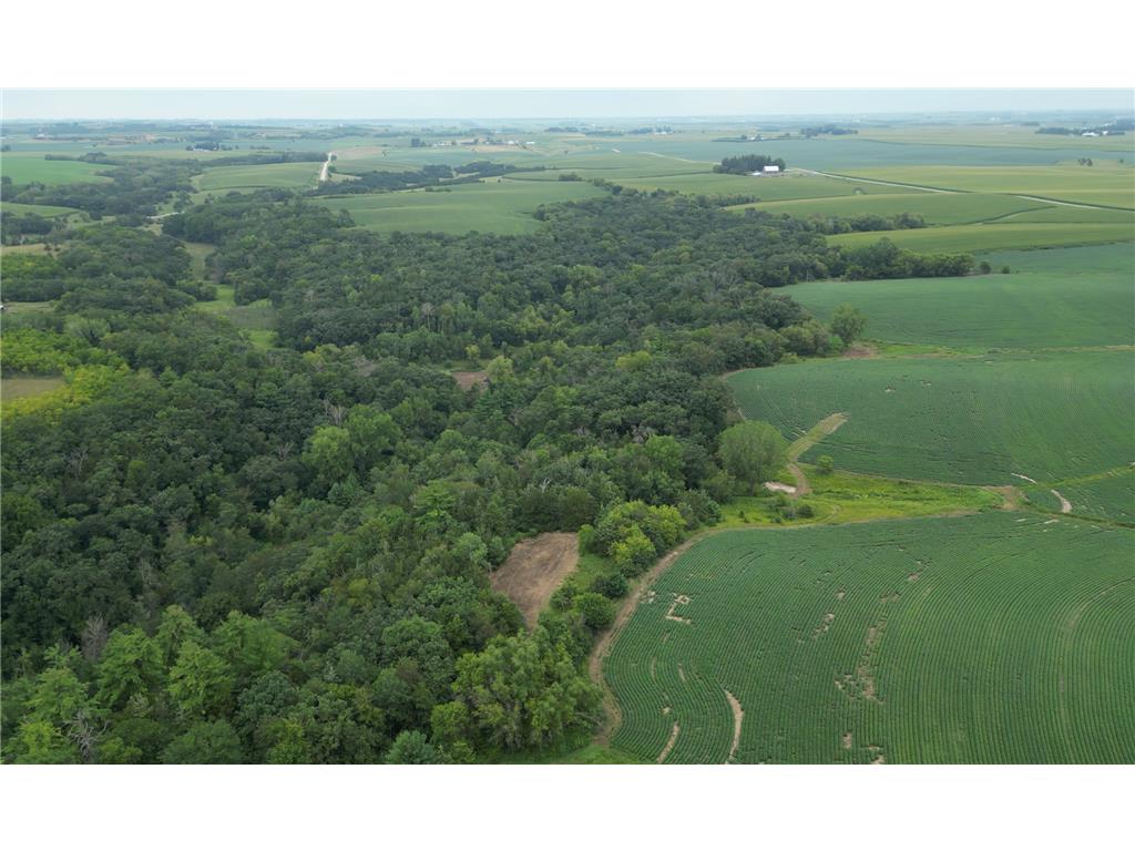 XX 310th Street Pilot Mound Twp MN 55949 6587909 image1