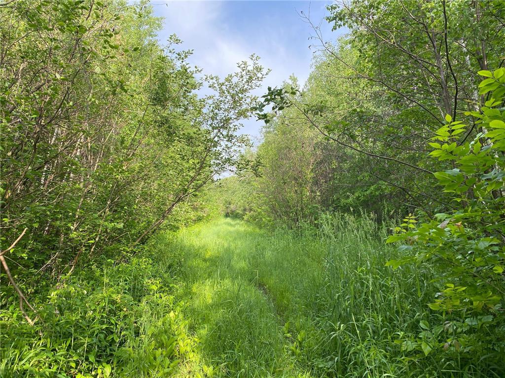 XX 330th Street Bradbury Twp MN 56359 6352615 image1