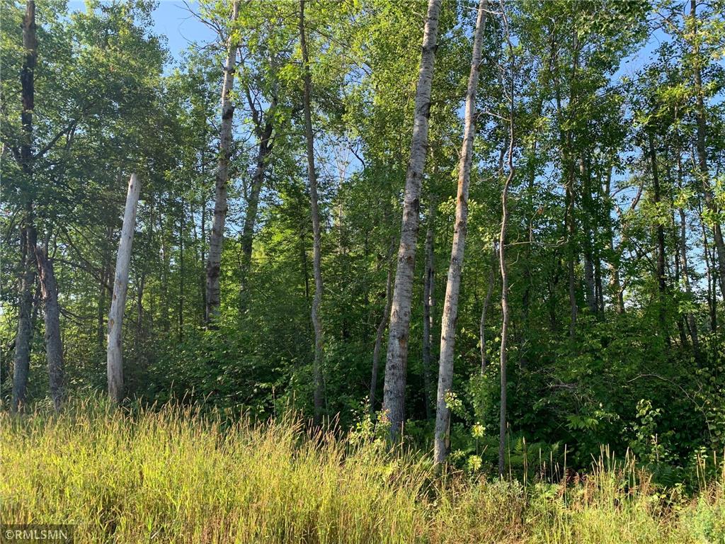 XX 480th Street Mcgregor MN 55760 - Rat 6412183 image1