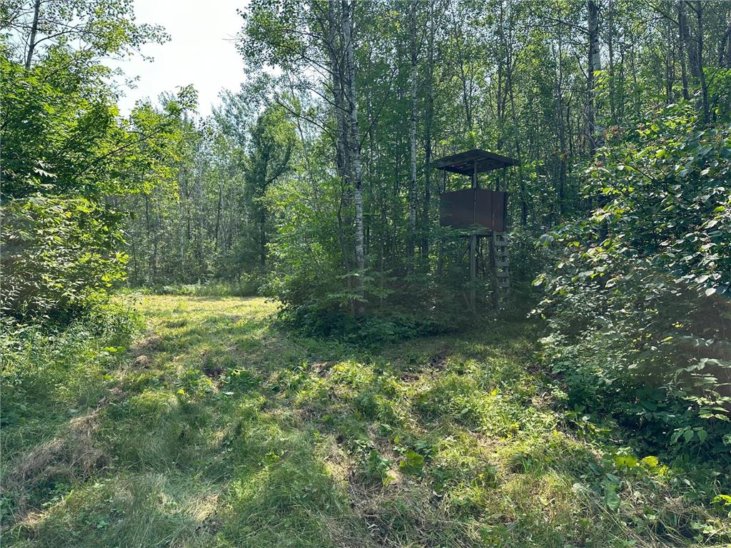XX Caraway Road Little Pine Twp MN 56447 6466024 image1