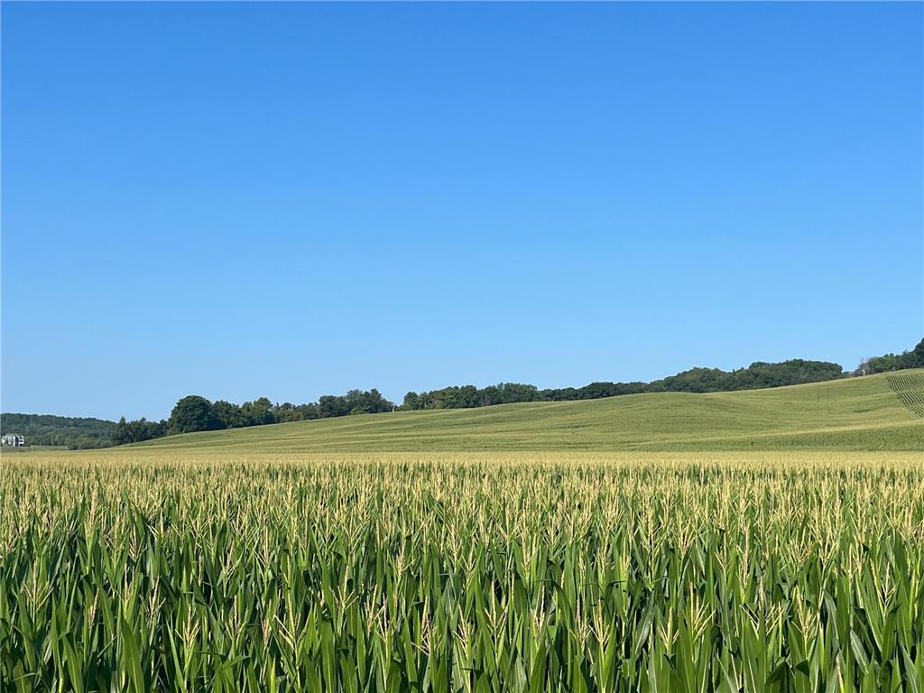 4700 Country Club Road SW Rochester Twp MN 55902 6405774 image9