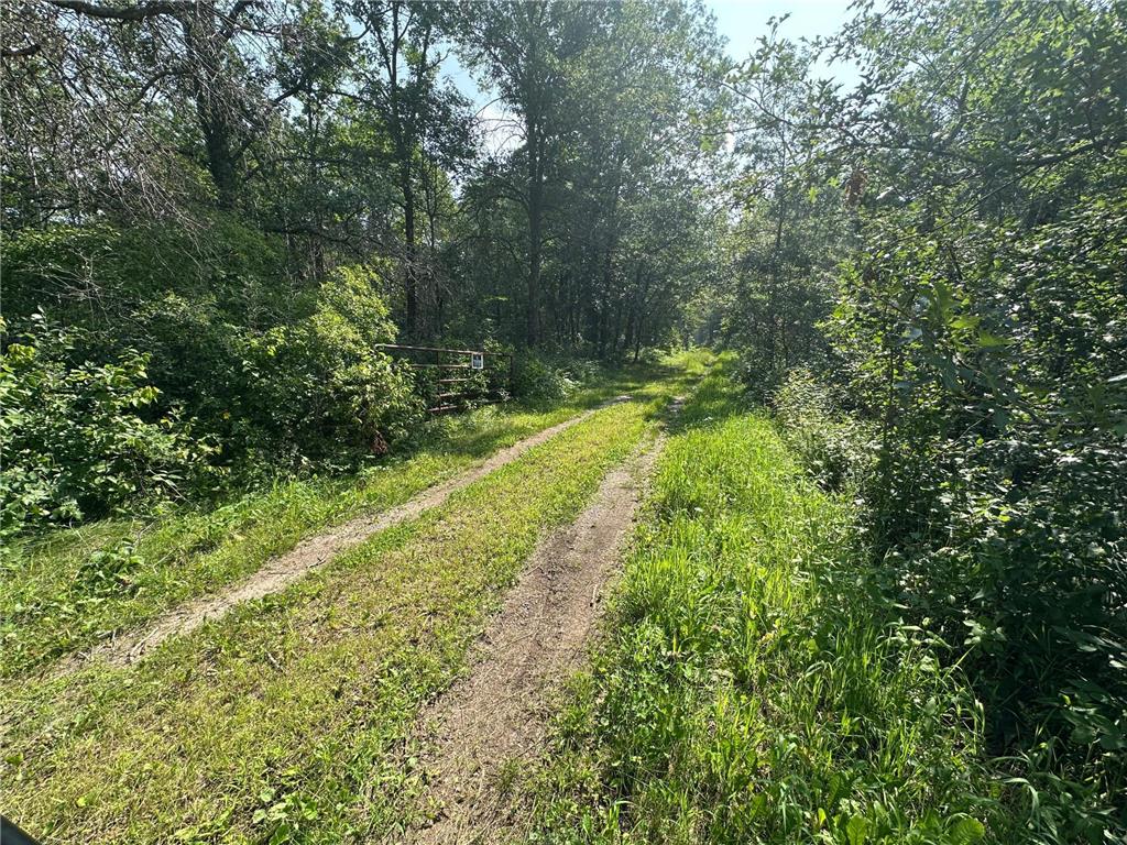 XX County Rd. 8 Garrison Twp MN 56450 6761415 image1