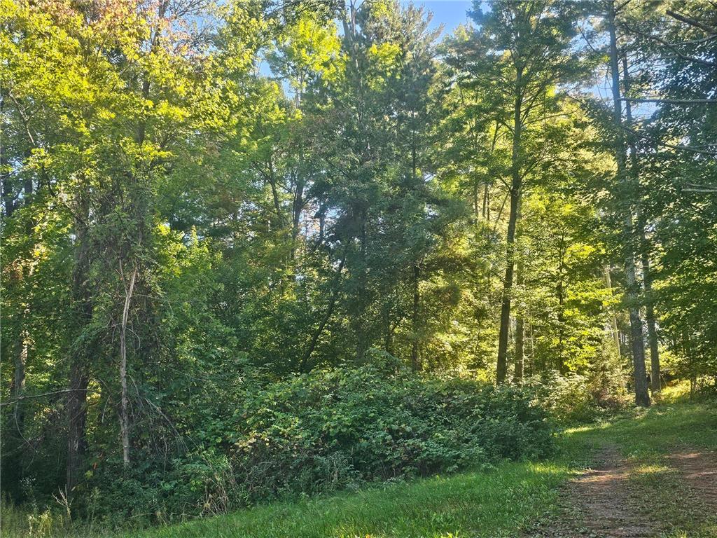 XX E Bass Lake Road Meenon Twp WI 54893 - Bass Lake 6798327 image6