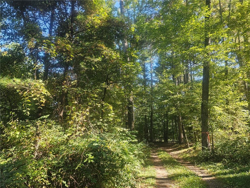 XX E Bass Lake Road Meenon Twp WI 54893 - Bass Lake 6798327 image7