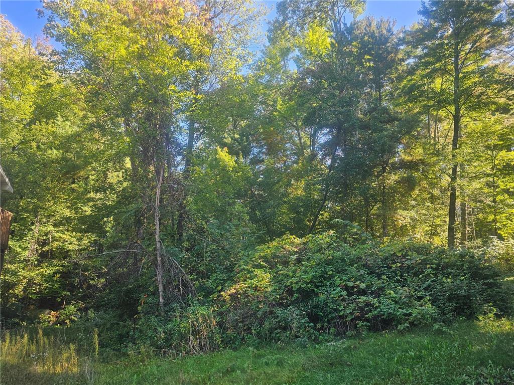 XX E Bass Lake Road Meenon Twp WI 54893 - Bass Lake 6798327 image8